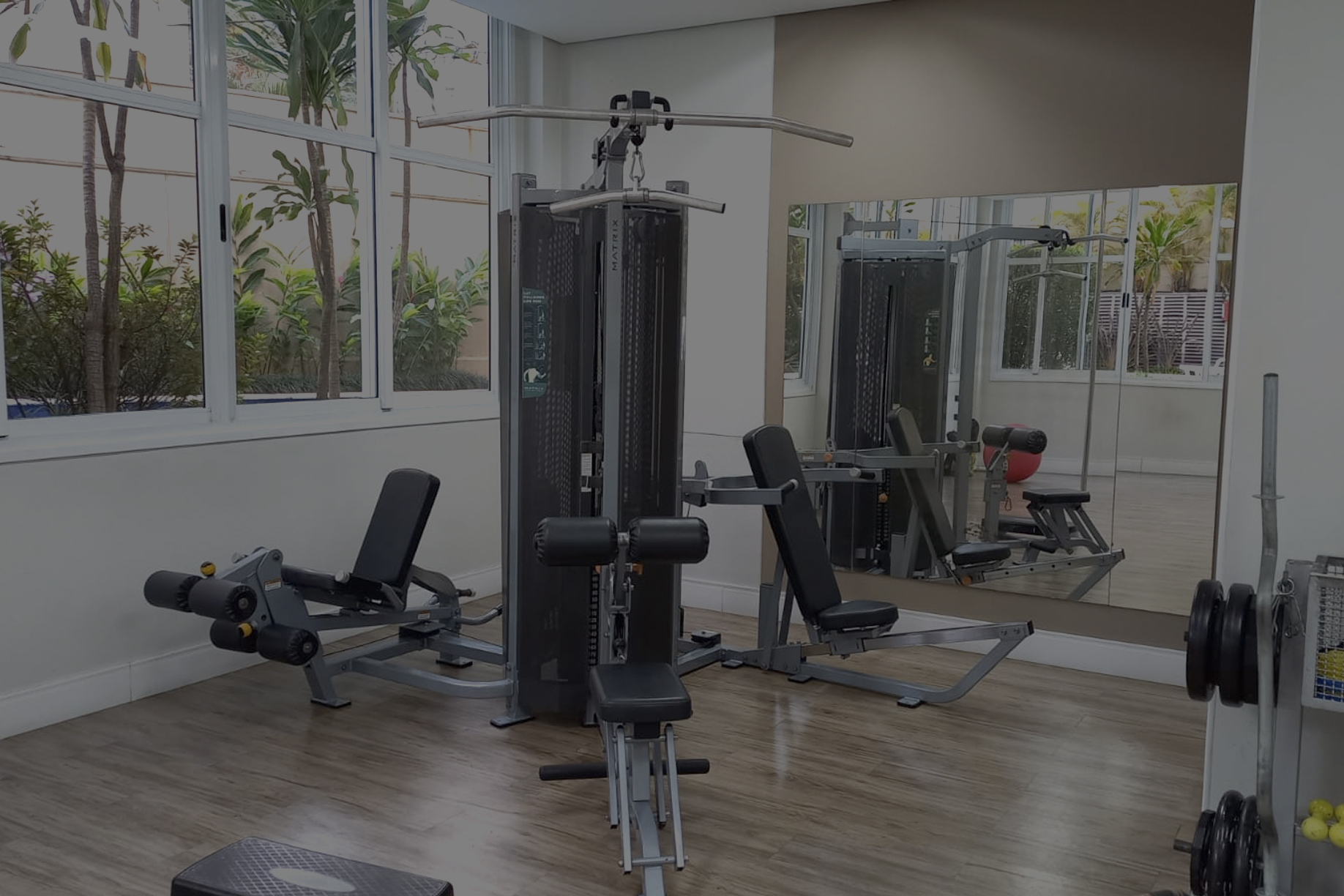 Equipamento de musculação em espaço fitness